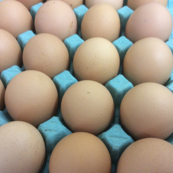 FREE RANGE EGGS Image
